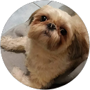 Michela Tanzi (PePaMi) profile picture